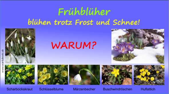 0001-Warum-Gott