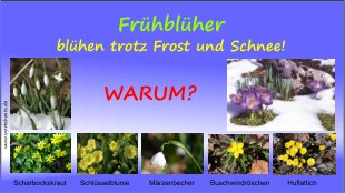 0001-Warum-Logo