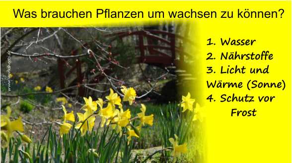 002-Was brauchen die Pflanzen