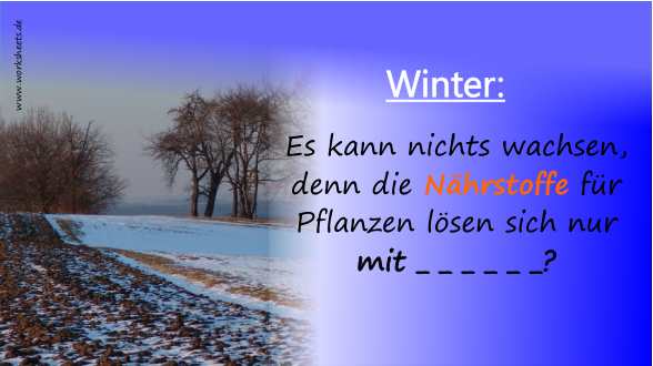 003-Schnee-Frost1