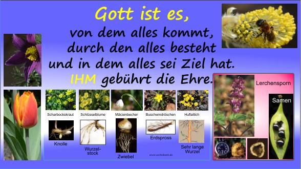 009--Gott die Ehre