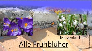 1Alle Frhblher-Logo