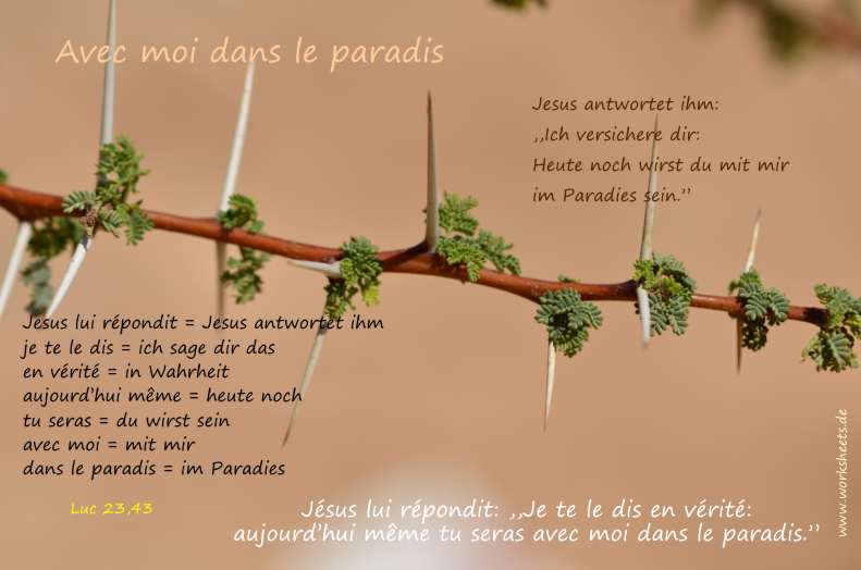 Avec moi dans le paradis