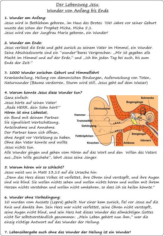Der Lebensweg Jesu-Wunder von Anfang bis Ende