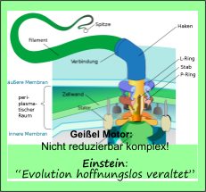 Evolution-hoffnungslos veraltet-Logo2