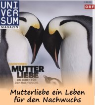 Mutterliebe bei Mensch und Tier-Logo