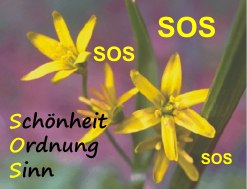 Schnheit-Ordnung-Sinn