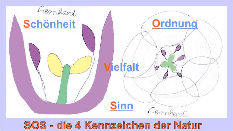 Tulpe-Ordnung-SOS