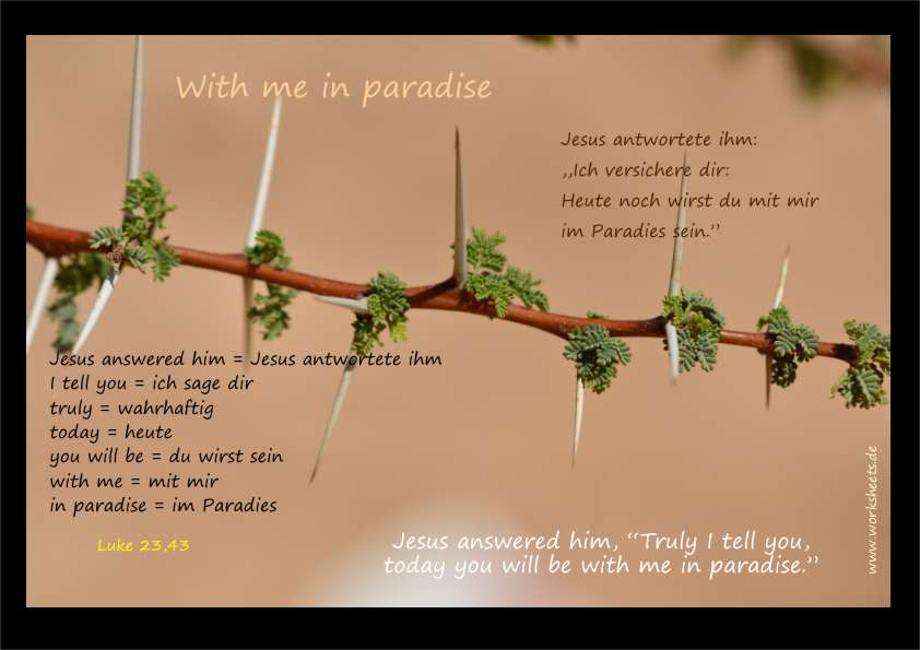 With me in paradise Mit mir im Paradies